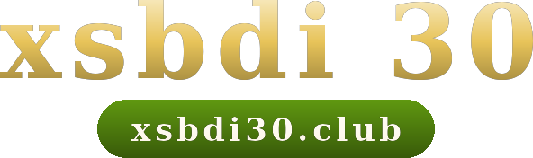 xsbdi 30 logo